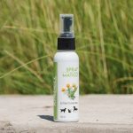 Spray de Matico (100 ml)